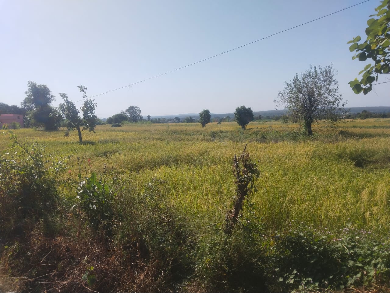 residential land for sale in uttarakhand,ramnagar