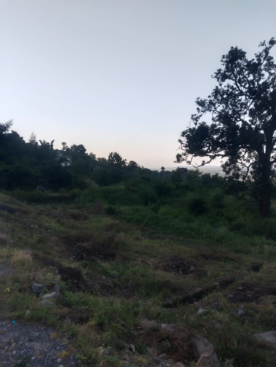 residential land for sale in uttarakhand